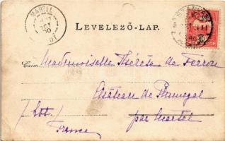 1900 Szarvas, birtok. photo (EK)