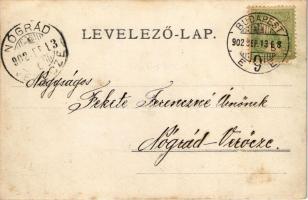 1902 Verőce, Nógrádverőce; hölgyek és urak. photo (fl)