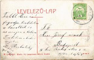 1911 Svedlér, Svedlár; Evangélikus templom. W.L. Bp. 2717. Ifj. Langermann Mihály kiadása / Lutheran...