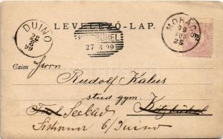 1899 Sátorhely, Sátoristye; malac. photo (EB)