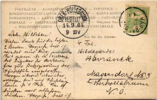 1905 Várpalota, malacok etetése. photo (EK)