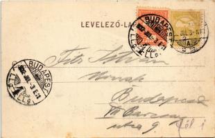 1902 Vác, Papnevelde. Divald Károly 597. sz. (fl)