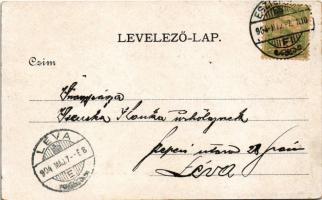 1904 Esztergom, a vártemplom és a prímási palota a dunai oldalról, hajóállomás, "BUDAPEST"...