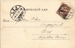 1901 Esztergom, a vártemplom és a prímási palota a dunai oldalról, hajóállomás. Wallfisch S. kiadása...