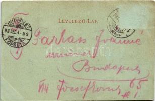 1898 (Vorläufer) Szeged, Széchenyi tér. Traub B. és Társa kiadása (Rb)