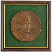Domonkos Béla (1934-) ~1980. József Attila 1905-1937 egyoldalas, öntött bronz plakett, keretben (102mm) T:1-