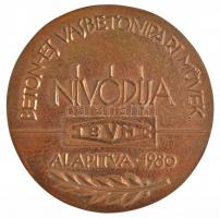 1980. Beton és Vasbetonipari Művek Nívódíja - Alapítva 1980 kétoldalas, öntött bronz plakett, eredeti tokban (99mm) T:1-