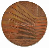 1980. "Beton és Vasbetonipari Művek Nívódíja - Alapítva 1980" kétoldalas, öntött bronz pla...