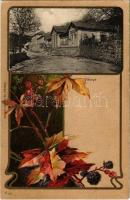 Vihnye, Vihnyefürdő, Kúpele Vyhne; fürdőház. Joerges özv. és fia No. 206. / spa. Art Nouveau, floral, litho