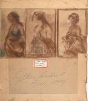 Littkei (Littkey) Antal (1879-?): Női szépség. Pasztell, karton, jelzés nélkül, címkén feliratozott, sérült, 29x49 cm
