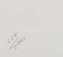 Andy Warhol (1928-1987): Paramount. Granolitográfia, papír, jelzett a nyomaton. Számozott: 224/2400....