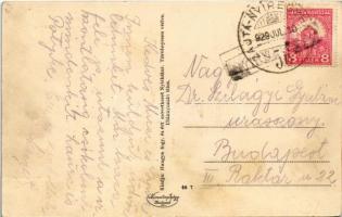 1929 Nyírbátor, Hősök szobra, Községháza, drogéria, Nyírvidéki Agrár Takarékpénztár Rt. Hangya Szöve...