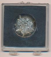 Kiss Nagy András (1930-1997) 1997. "Orvos sor / Semmelweis Ignác" jelzetlen, ezüstözött em...