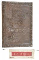 Németország 1970. egyoldalas öntött bronz plakett, korabeli ÖNTŐ MINTA feliratú lezárt, műanyag tasakban. SOCIETAS PRO AEROSOLIBUS IN MEDICINA INTERNATIONALIS ANNO MCMLXX BEROLINUM AEOROTI SALUS PRO NOBIS LEX SUPREMA ESTO (133x92mm) T:1- Germany 1970. One-sided cast bronze plaque in closed plastic ÖNTŐ MINTA (casting pattern) foil packaging. SOCIETAS PRO AEROSOLIBUS IN MEDICINA INTERNATIONALIS ANNO MCMLXX BEROLINUM AEOROTI SALUS PRO NOBIS LEX SUPREMA ESTO (133x92mm) C:AU