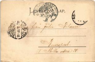 1904 Vágbeszterce, Povazská Bystrica; Vágvölgy, Fő utca, gyógyszertár. Gansel Lipót 51. / Das Waagta...