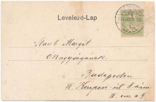 1904 Nagytapolcsány, Topolcany; Rákóczi utca, Központi szálloda és kávéház / street view, hotel and ...