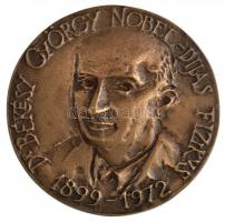 1972. Dr. Békesy György Nobel-díjas fizikus 1899-1972 / Kiemelkedő kutatómunkáért - Posta Kísérleti Intézet Br emlékérem (90mm) T:1-