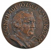 DN Csongrádi József emlékérem egyoldalas, öntött bronz emlékérem (86mm) T:2 fo.