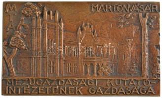 Lajos József (1936-) DN MTA - Martonvásár - Mezőgazdasági Kutatóintézetének Gazdasága egyoldalas, öntött bronz plakett (80,5x133mm) T:1-
