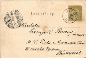 1904 Zsolna, Sillein, Zilina; Budatin vár, híd. Nürnberg Ármin kiadása / Budatínsky hrad / Budatín c...