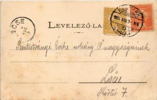 1903 Felsőzúgó-fürdő, Ruzsbachfürdő, Bad Ober Rauschenbach, Kúpele Vysné Ruzbachy; (fl)