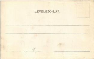 Pöstyén, Piestany; Dr. Weisz-féle intézet. Az intézet parkbéli homlokzata / Dr. Eduard Weisz' I...