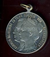 Hollandia 1909. "Wilhelmina & Henrik-Julianna születése" alkalmából kiadott ffém emlékérem T:2