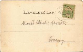 1905 Fenyőháza, Lubochna; nyaralótelep. Wlaszlovits Gusztáv kiadása / villas (EK)