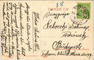 1915 Szekszárd, Kaszinó bazár, könyvnyomda, üzletek