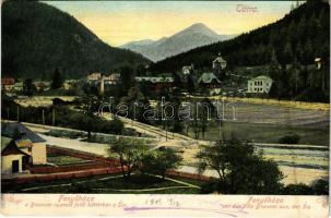 1901 Fenyőháza, Lubochna; Brunner nyaraló, felül háttérben a Sip. Feitzinger Ede N. 883. / von der Villa Brunner aus / villa, mountain (fl)