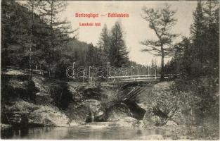 Barlangliget, Höhlenhain, Tatranská Kotlina (Tátra, Magas Tátra, Vysoké Tatry); Landoki fahíd / Brücke Landok / wooden bridge by Lendak