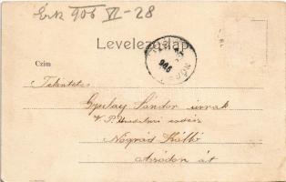 1906 Zólyom, Zvolen; Fő tér, Alexics Miklós és Schvarcz B. üzlete, Zólyom és Vidéke vállalat, takaré...