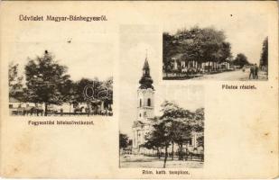1914 Magyarbánhegyes, Magyar-Bánhegyes; Fogyasztási hitelszövetkezet, Fő utca, Római katolikus templom (EB)