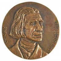 Vass Csaba (1950-) 1986. Liszt 1886-1986 Kalocsa egyoldalas, öntött bronz plakett (98-99mm) T:1-