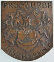 1992 Pro Urbe - Jászberény egyoldalas, öntött bronz plakett, hátoldalán gravírozva Jászság Népiegyüttes 1992 gravírozással (90x77mm) T:2
