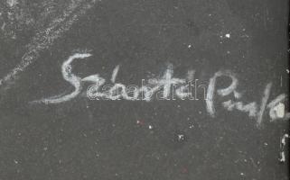 Szántó Piroska jelzéssel: Macska. Pasztell, papír. Üvegezett, sérült fa keretben. 53x32 cm