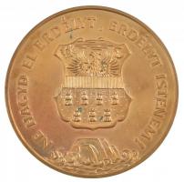 1989. "Temesvár 1514,1989 / Ne hagyd el Erdélyt, Erdélyt Istenem" aranyozott fém emlékérem...