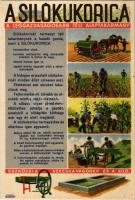 A silókukorica a leggazdaságosabb téli alaptakarmány, eszközei a szecskavágógép és a siló. M. kir. földmívelésügyi Minisztérium kiadványa / Hungarian agricultural propaganda, silage corn