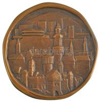 Renner Kálmán (1927-1994) 1977. "Sopron 1277-1977" kétoldalas Br plakett fa tokban (~95mm)...