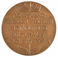 Asszonyi Tamás (1942-) ~1970-1980. "KISZ Budapesti Bizottsága / Az ifjúság körében végzett kiem...
