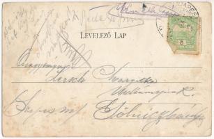 Budapest I. Krisztina körút, Posch József kávéháza. Hollenczer és Okos budai fényképészek műterméből...