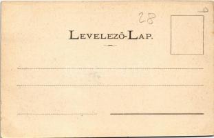 Budapest IX. Látkép az elevátorból, Citadella, Gellért tér még befejezetlen, vasúti sínek. Divald fé...