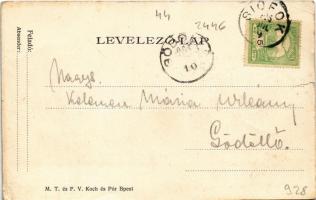 1906 Siófok, park, pavilon (szakadás / tear)