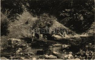 1914 Fuzine, Izvor Licanke / mineral water spring