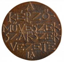 Lapis András (1942-) DN "A Képzőművészek Szakszervezete" Br emlékérem (41mm) T:1-