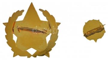 ~1960-1970. "Gépipar Kiváló Dolgozója" műgyantás fém jelvény és miniatűr, eredeti tokban T...