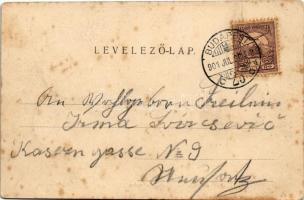 1901 Budapest II. Szent Lukács fürdő. Divald Károly 408. sz. (r)