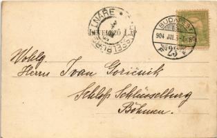 1904 Budapest, Erzsébet híd. Divald Károly 557. sz. (EK)