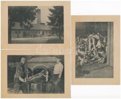 1945 5 db képeslap: dachaui koncentrációs tábor, krematórium, holttestek / Konzentrationslager Dachau / 5 postcards: Dachau concentration camp, crematory, dead bodies