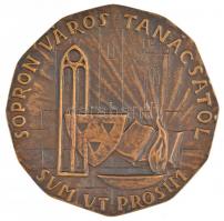 Renner Kálmán (1927-1994) ~1970-1980. "Dr. Lackner Kristóf 1571-1631 / Sopron város Tanácsától ...